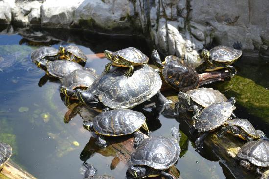 SEA LIFE Centre Blankenberge